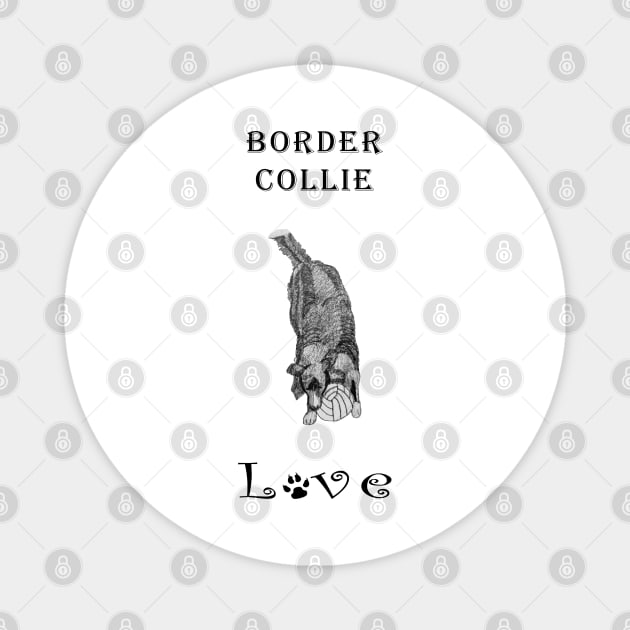 Border Collie Love - Pencil Drawing of Border Collie Magnet by karenmcfarland13